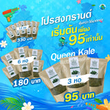 クイーンケール野菜ヌードル — ケール・キヌア・チアから作った