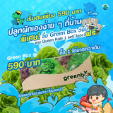 Green Box  hydroponics THB 590 with VAT