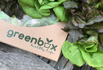 Green Box กล่องปลูกผัก　(ราคารวมภาษี 590 บาท)