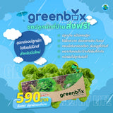 Green Box hydroponics
